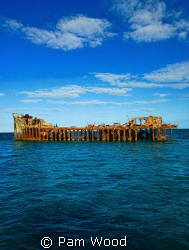 "The Sapona".  A concrete boat in Bimini used to smuggle ... by Pam Wood 